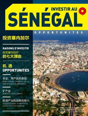 塞内加尔投资环境报告