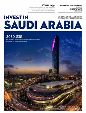 沙特投资环境报告